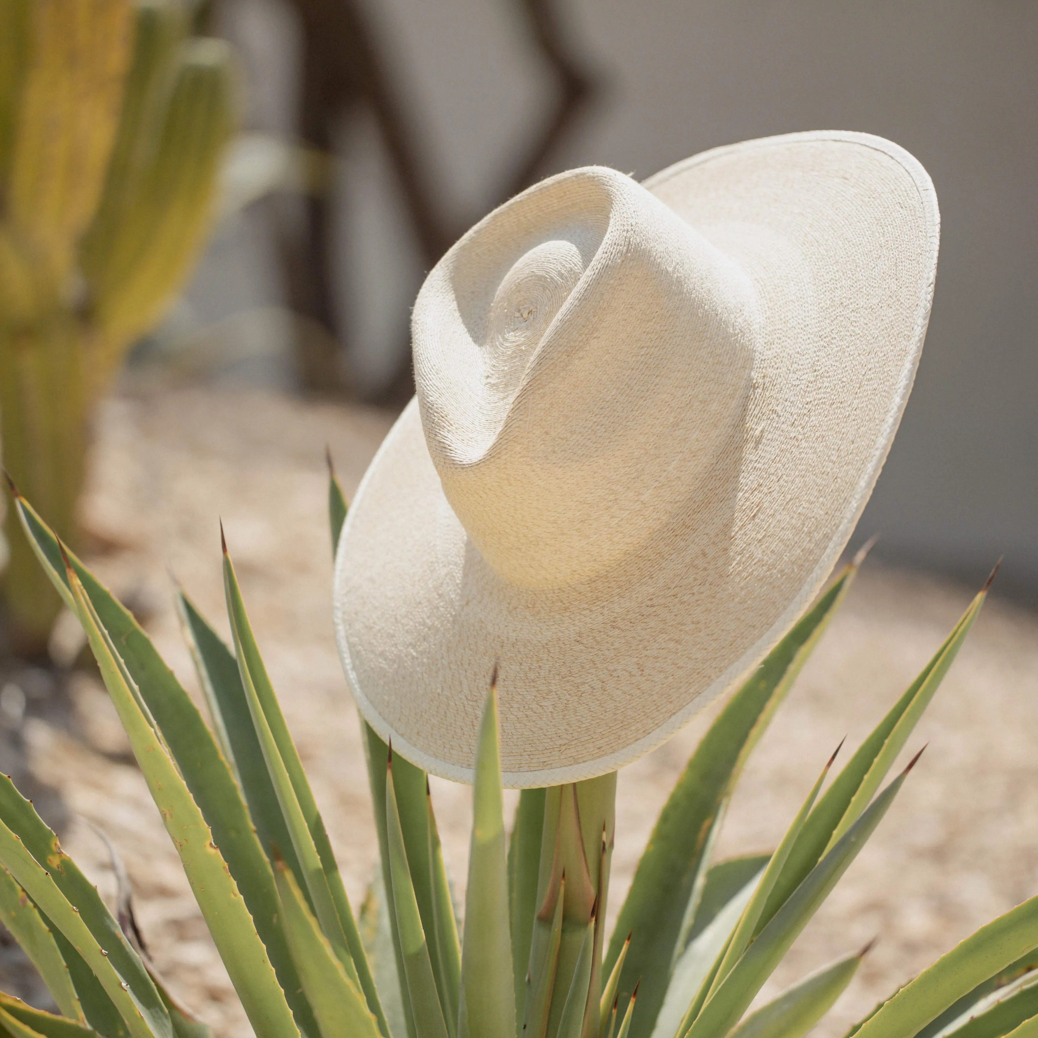 The Sunbleached Fine Palm Rancher Hat